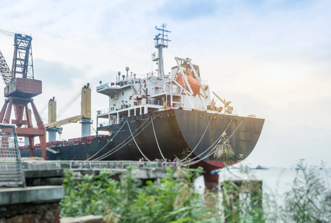 A large cargo ship belonging to Jane docked at a port, with cranes and green foliage in the foreground under a cloudy sky, showcasing the efficiency of integrated supply chain management.
